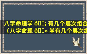 八字命理学 🐡 有几个层次组合（八字命理 🌻 学有几个层次组合的）